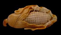 SOLD: Stunningly Lifelike  Ear of Corn: Brown & White Burmese Jadeite
