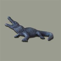 SOLD: Enchantingly Fearsome African Alligator